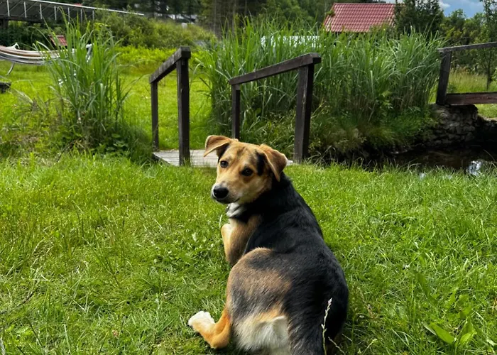 Zloty Sen Stronie Slaskie